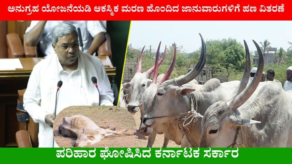 ಮರಣ ಹೊಂದಿದ ಜಾನುವಾರುಗಳಿಗೆ ಪರಿಹಾರ ಘೋಷಿಸಿದ ಕರ್ನಾಟಕ ಸರ್ಕಾರ । Anugraha yojane