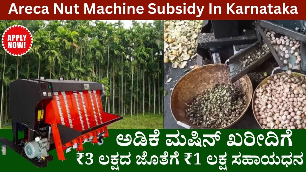 Areca Nut Machine Subsidy